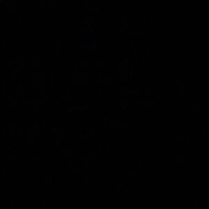 Meet your Posher, Kyleigh